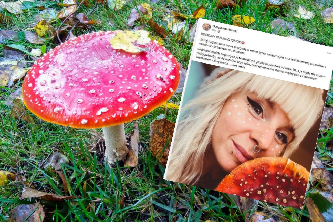 Muchomor czerwony.