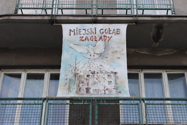 "Miejski gołąb zagłady". Plakat autorstwa artystki Hanny Morozowskiej, namalowany na prośbę Janusza Baranka