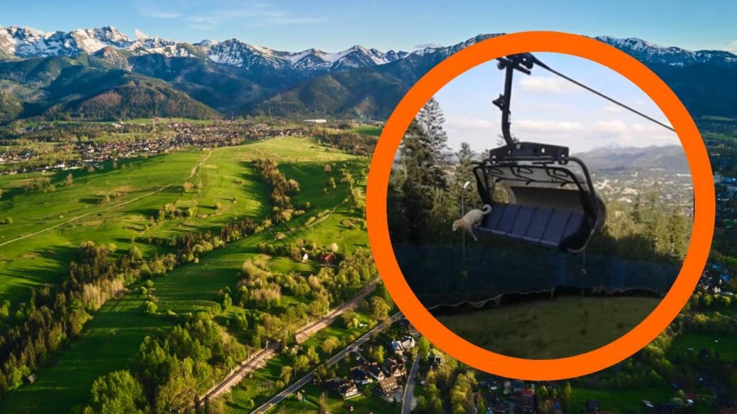 Zakopane. Pies jechał kolejką i skoczył. Ustaliliśmy, czy zwierzak przeżył.