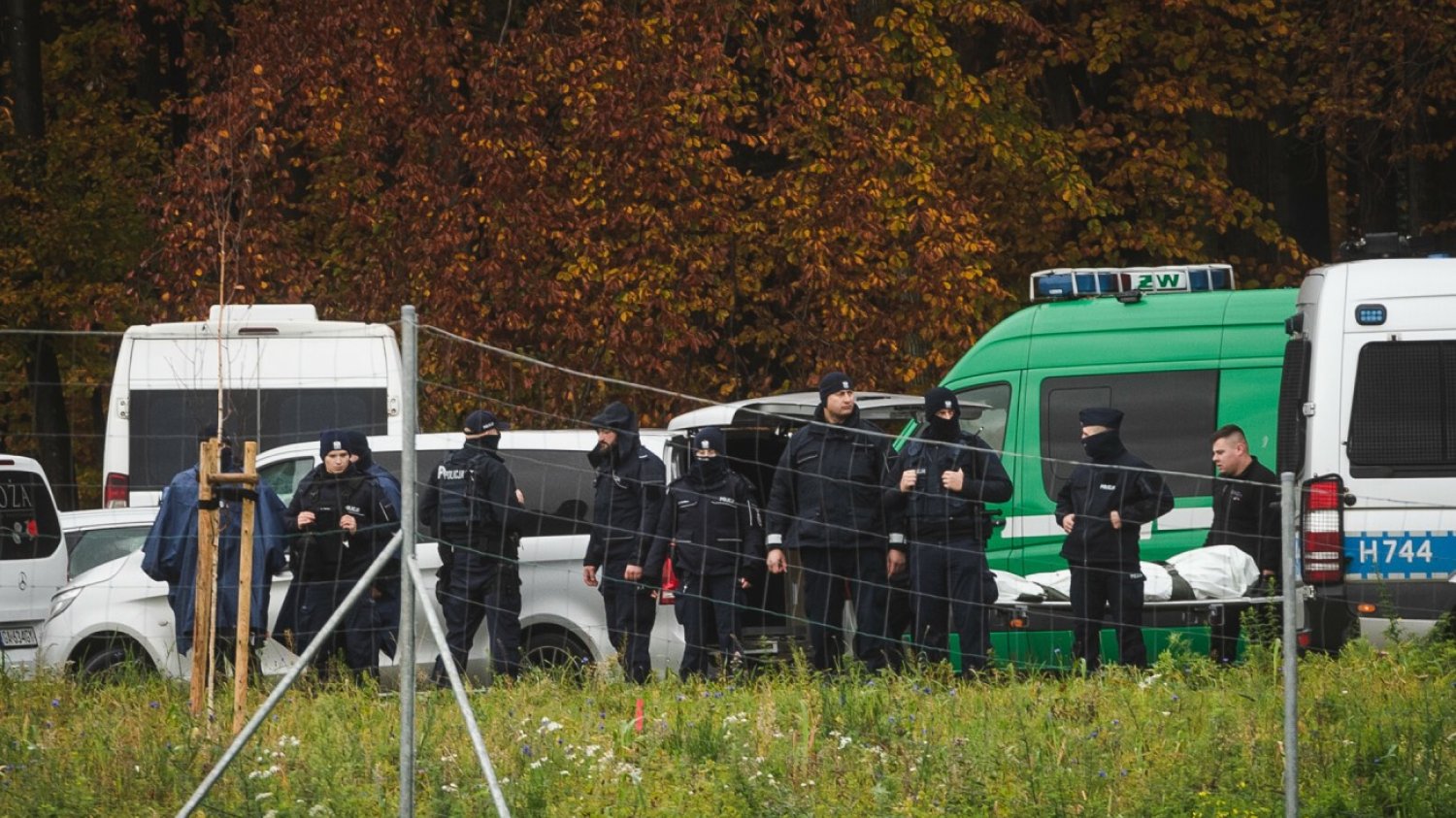 Ekspertka skomentowała wątpliwości ws. śmierci Grzegorza Borysa