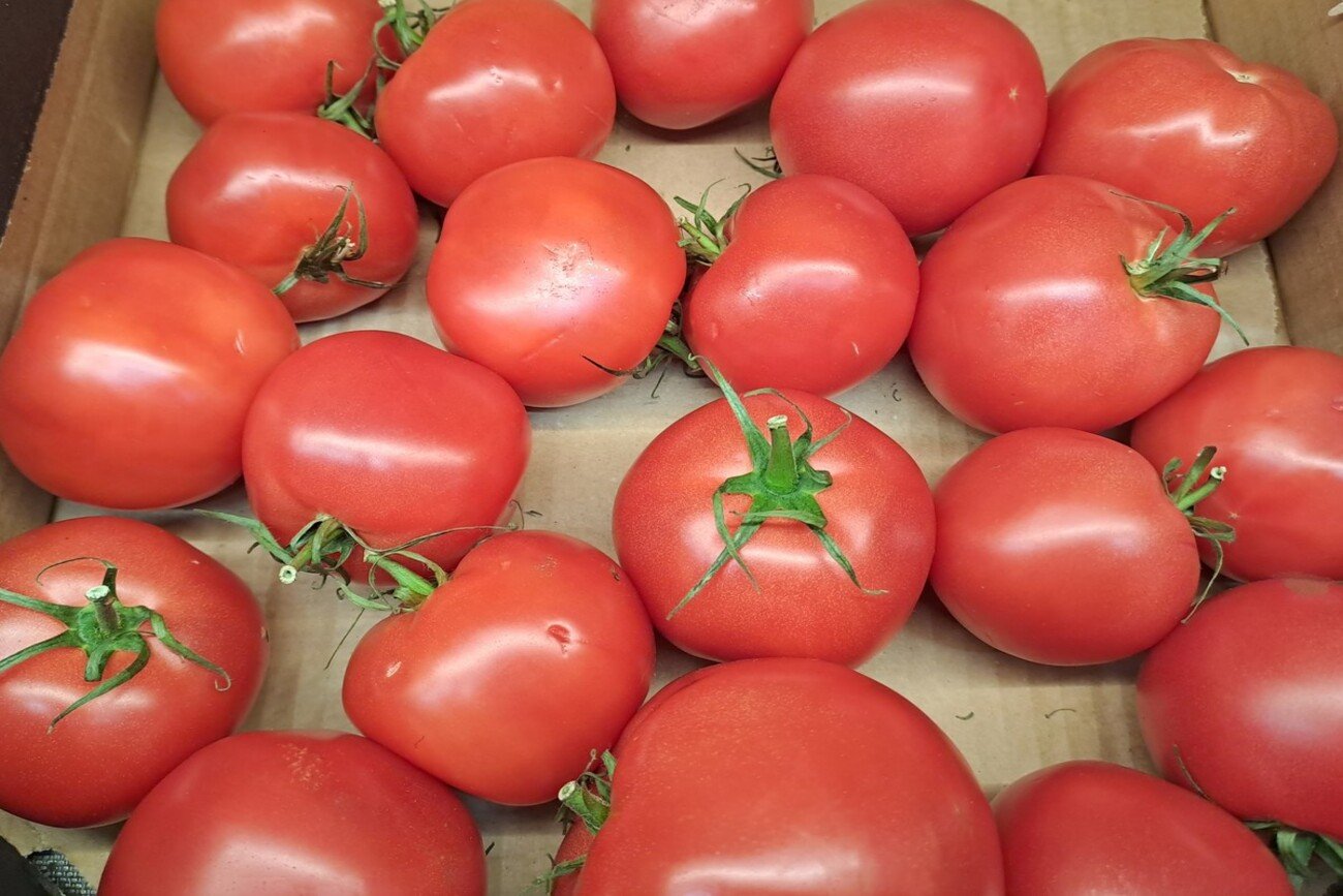 Ukradł pomidory, bo chciał z nich zrobić ketchup.