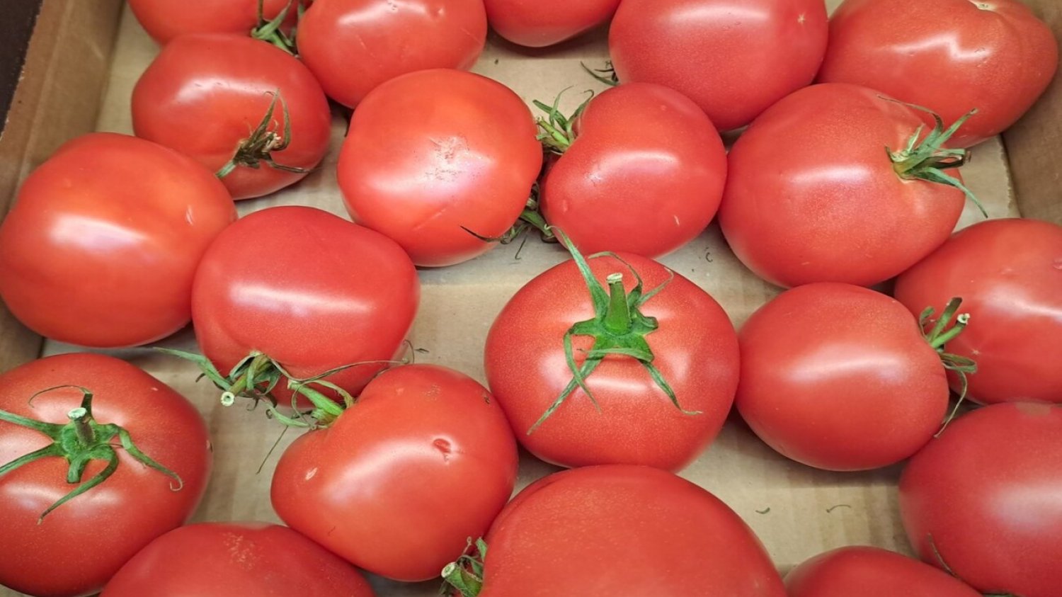 Ukradł pomidory, bo chciał z nich zrobić ketchup.