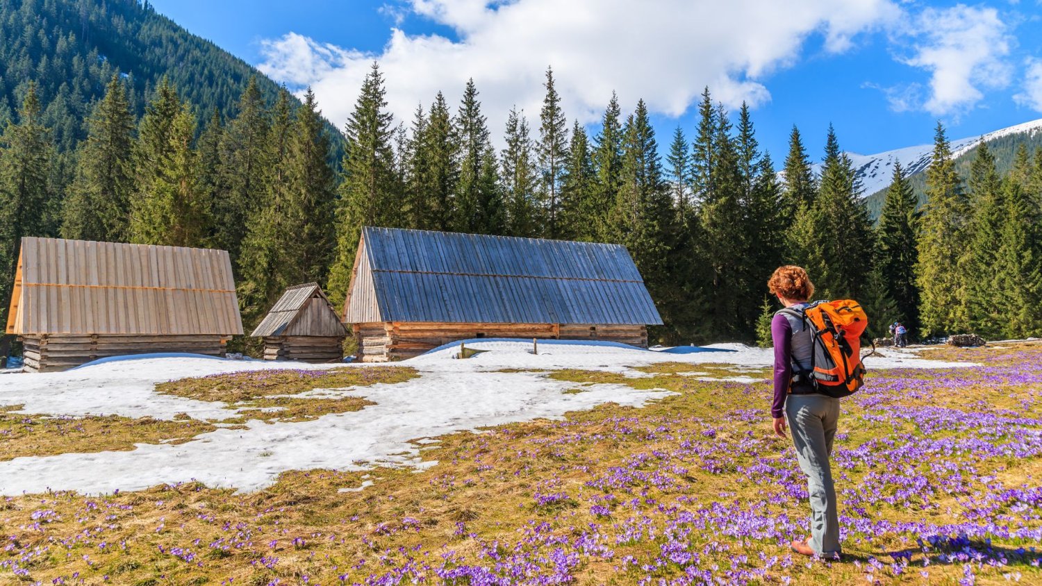 Turyści tylko na to czekali. W weekend zaleją Zakopane, ale jest też apel