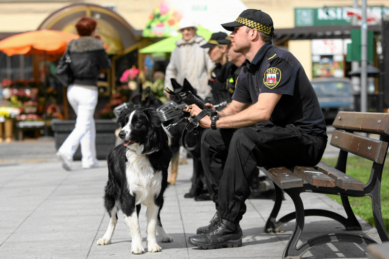 Strażnicy miejscy w Łodzi już nadrabiają zaległości w stawianiu mandatów.