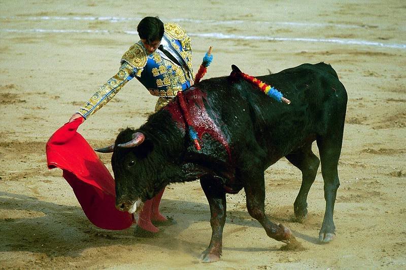 Corrida - krwawa tradycja hiszpańska