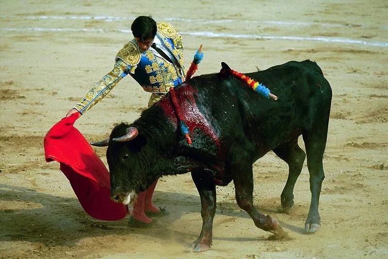 Corrida - krwawa tradycja hiszpańska