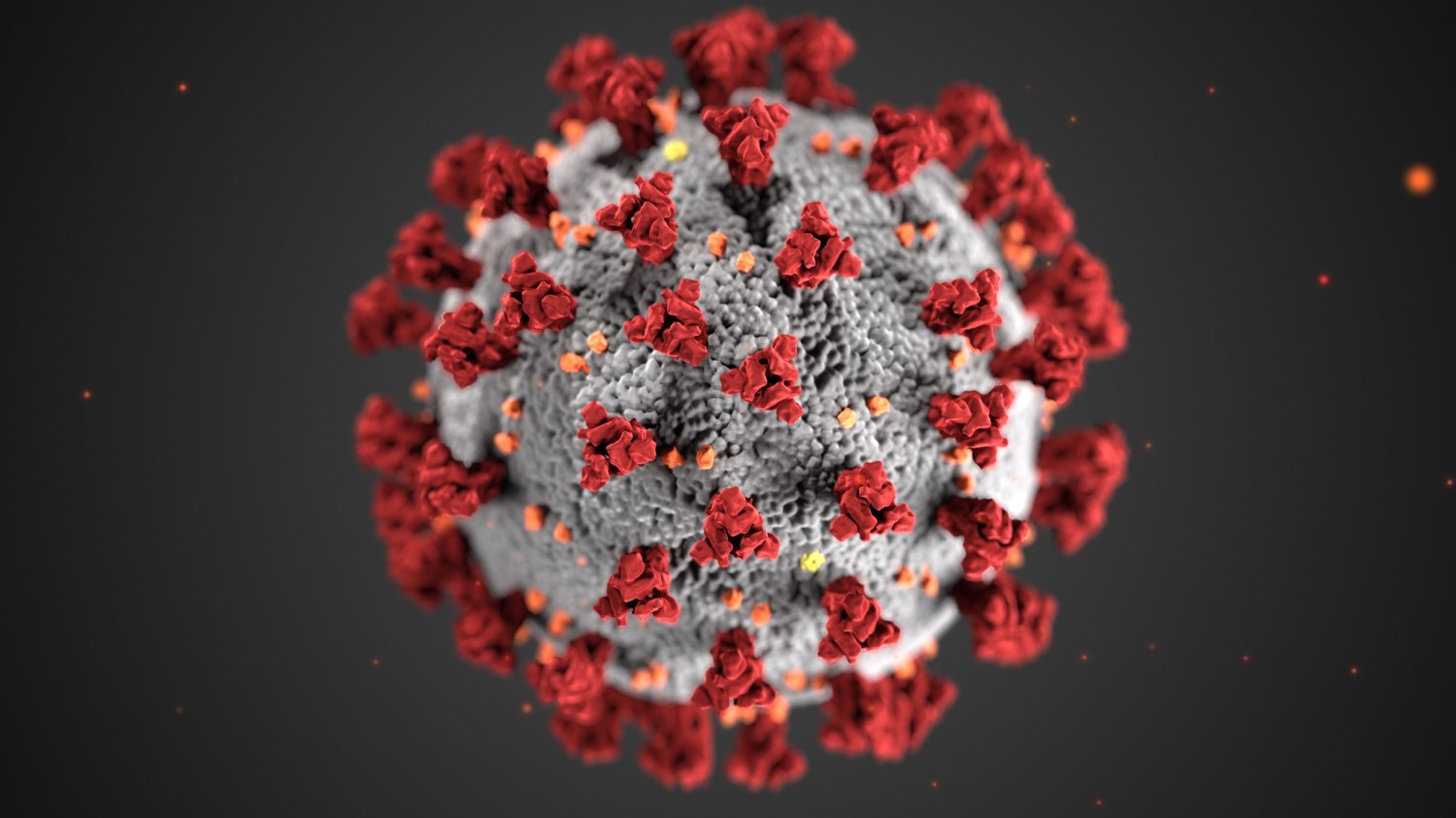 Koronawirus SARS-CoV-2 (covid-19)