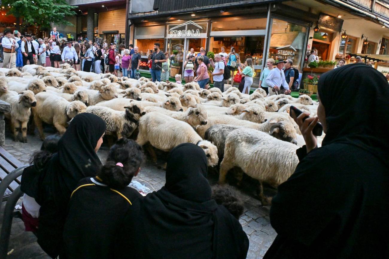 Szejk z Dubaju kupił krówki w Zakopanem. Zapłacił za nie fortunę