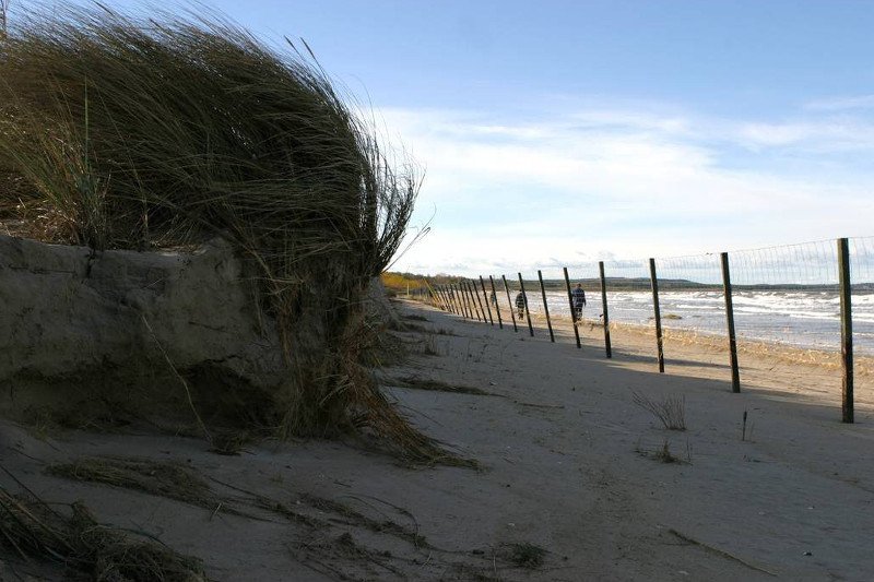 „Śmieci i kupy były, są i będą, to kwestia kultury”. Jak samorządy walczą z brudem na polskich plażach.