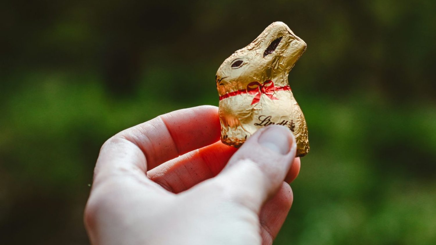 Czekoladowe zajączki wyjątkowo mocno podrożały w te święta