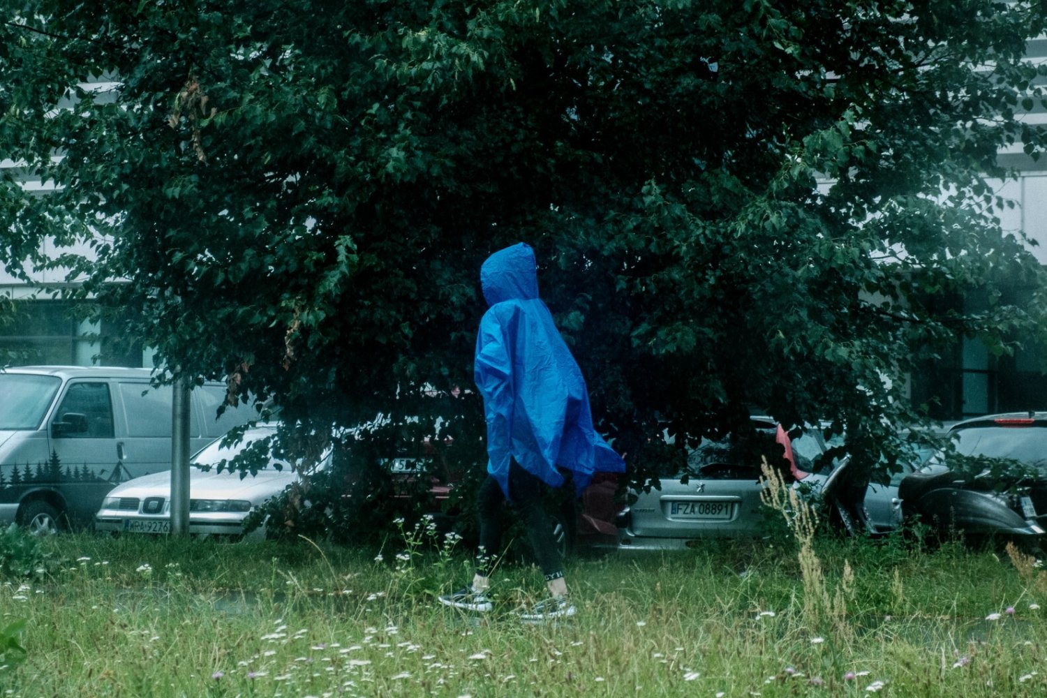 Gdzie jest burza? Synoptycy podali nowe prognozy.