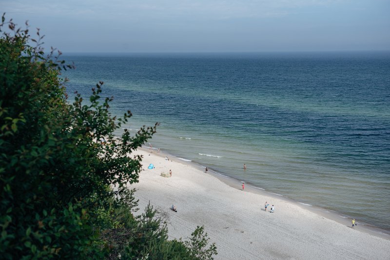 Bakterie przecinkowca są niebezpieczne dla człowieka.