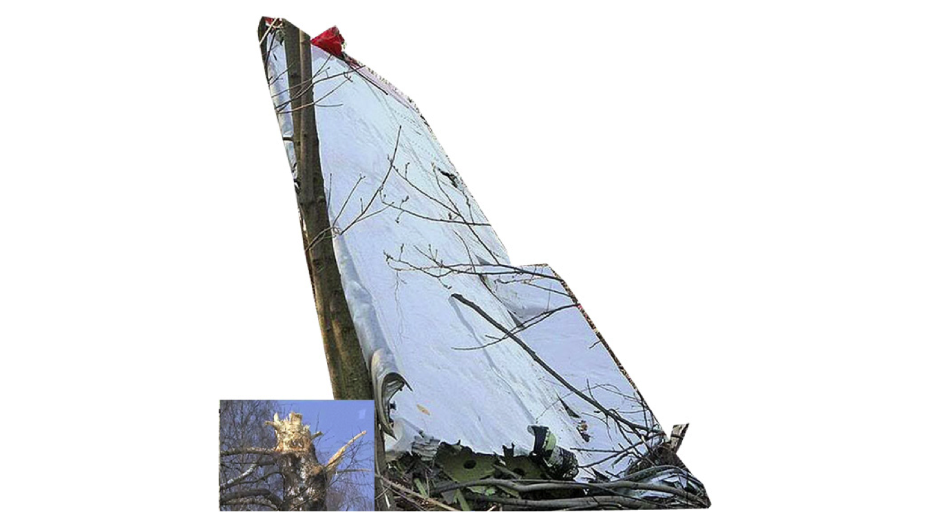 Urwana na brzozie końcówka skrzydła z lotką, o rozpiętości 5.5 m i długości całkowitej 6.5 m.