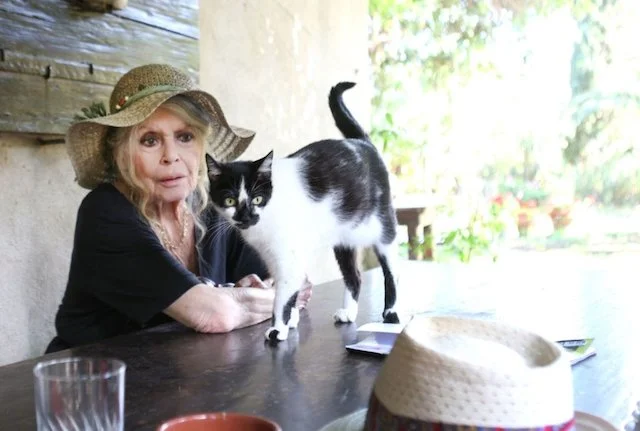 Brigitte Bardot w wieku 80 lat