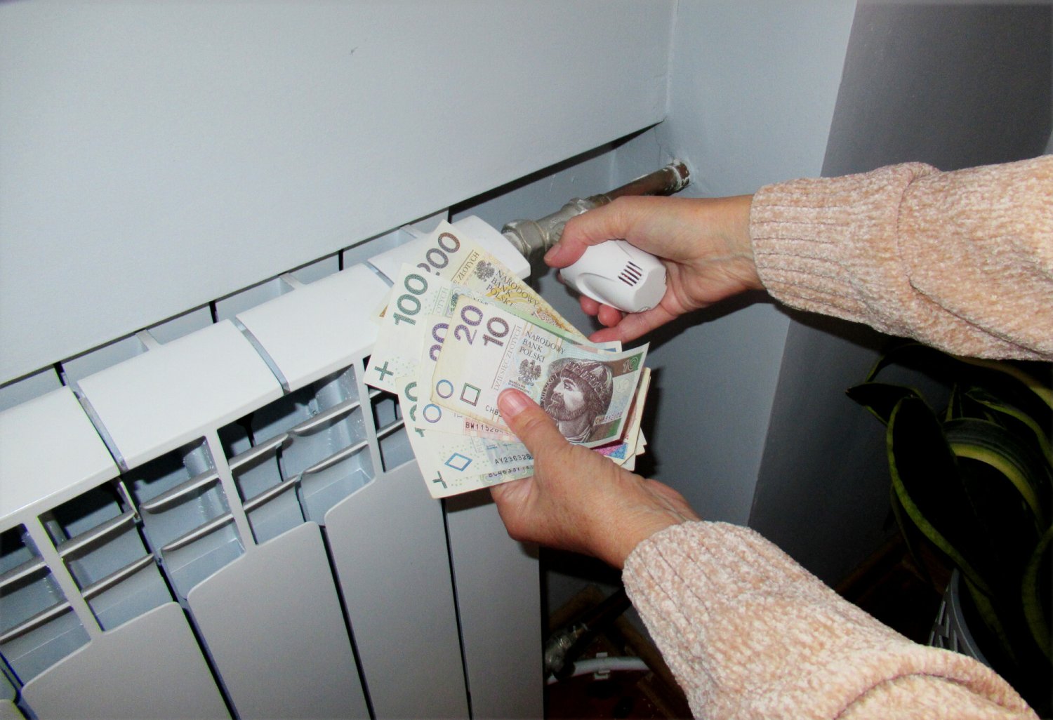 Zakręcanie kaloryferów na zero nie ma większego sensu. I możemy dostać za to dostać 500 zł mandatu