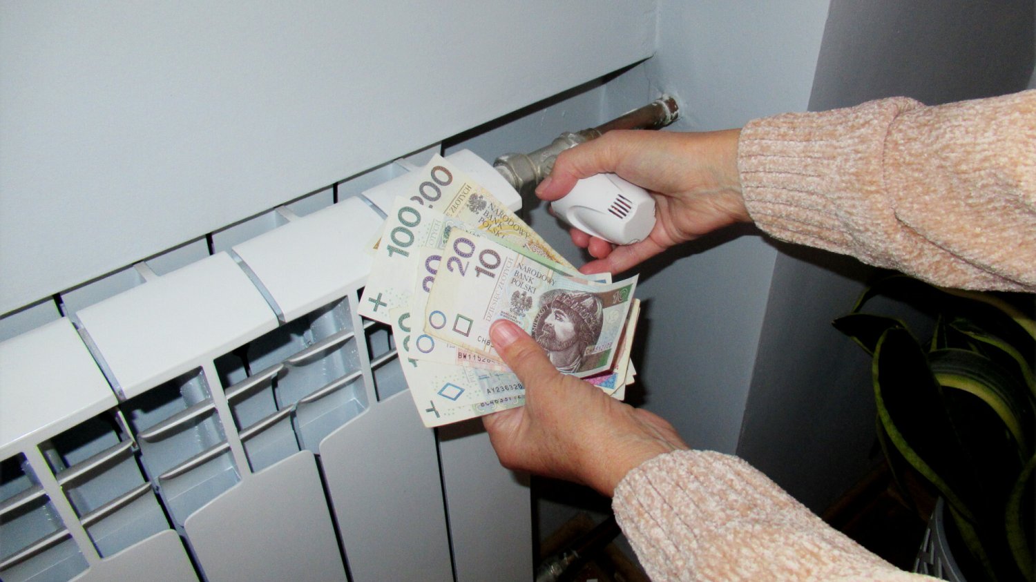 500 zł mandatu za zakręcony kaloryfer. Czym jest kradzież ciepła? Zakręcanie kaloryferów na zero nie ma większego sensu. I możemy dostać za to dostać 500 zł mandatu