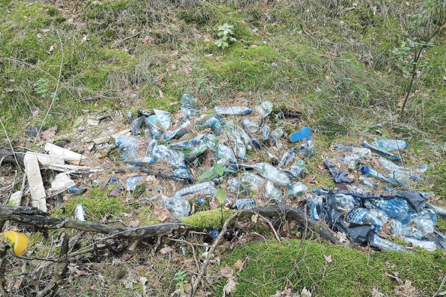 Poszłam na grzyby, znalazłam plastikowe butelki