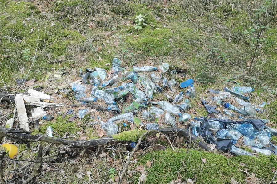 Poszłam na grzyby, znalazłam plastikowe butelki