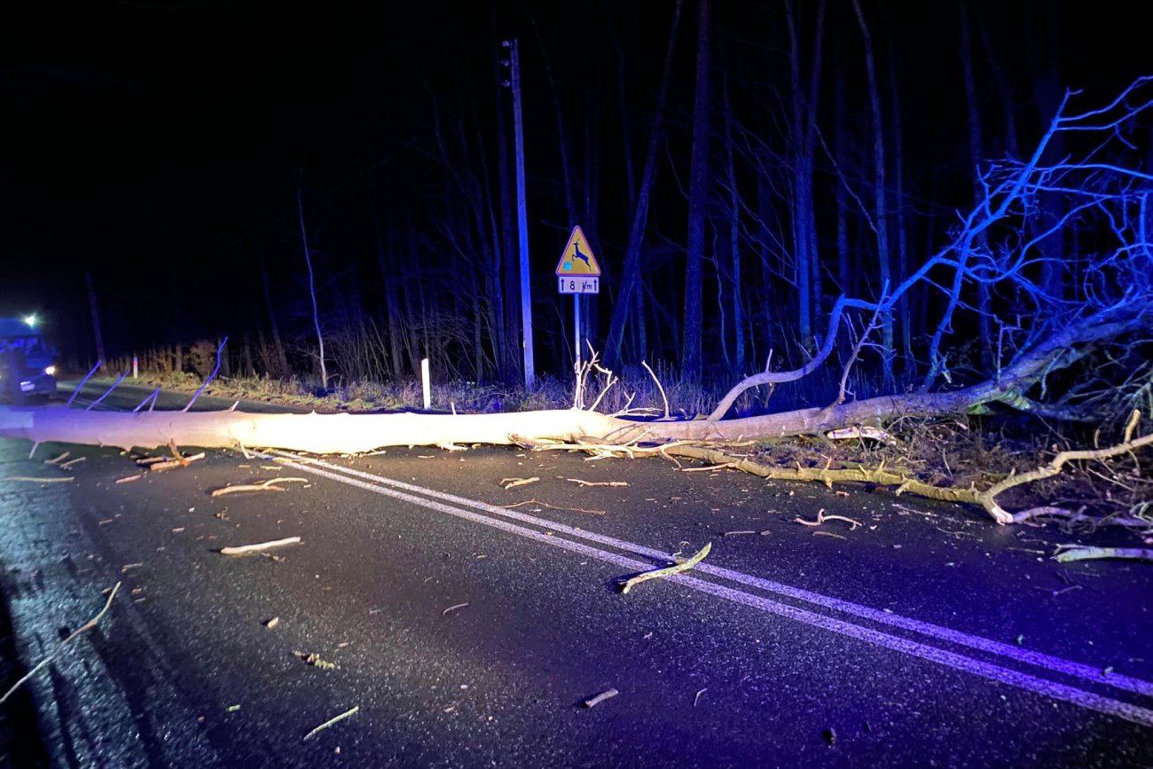 Zgodnie z prognozą pogody, przeszedł orkan Otto. Takie są skutki wichury