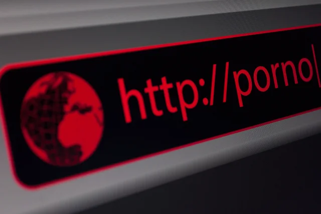Polski Sejm chce ograniczyć dostęp do pornografii.
