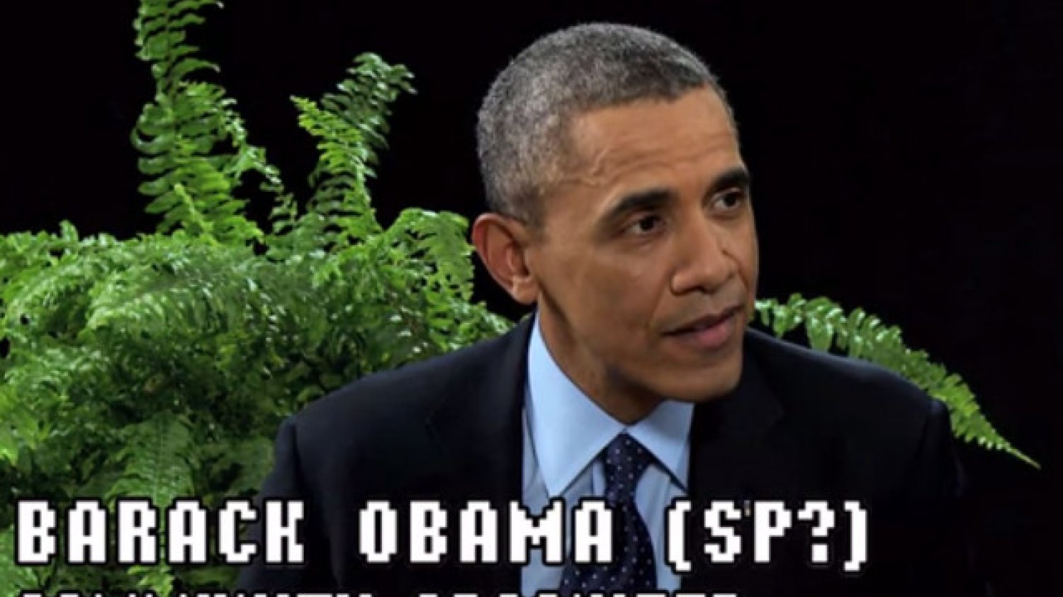 Barack Obama w programie "Pomiędzy dwoma paprotkami"