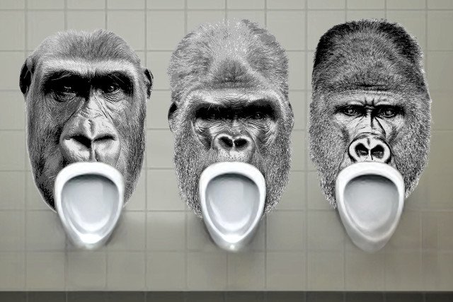 Kontrowersyjny pisuar zniechęcił sopockich urzędników do przebudowy miejskiej toalety.