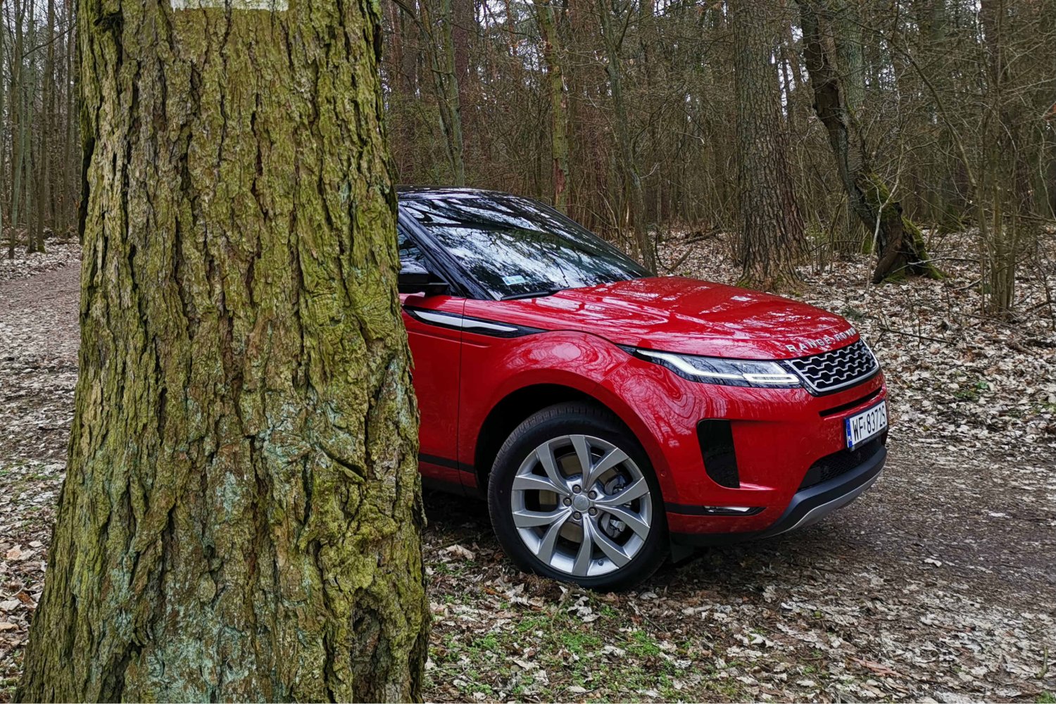 Sztuka maskowania w lesie – test niezaliczony