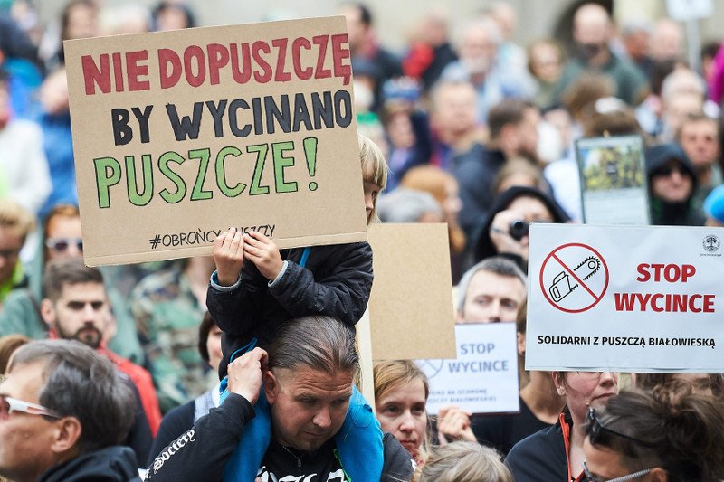 Komisja Europejska wkracza do gry o Puszczę Białowieską.