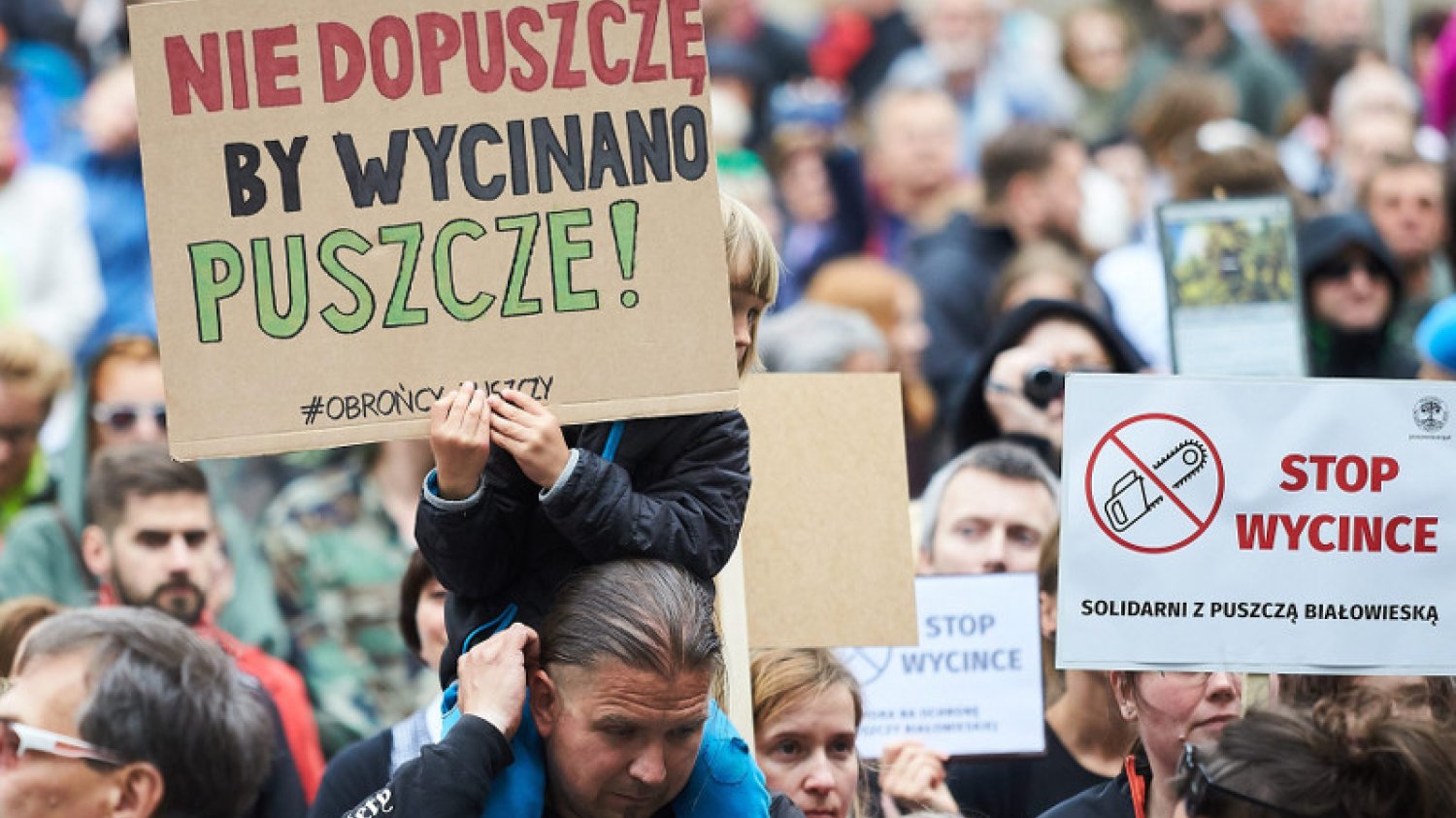 Komisja Europejska wkracza do gry o Puszczę Białowieską.