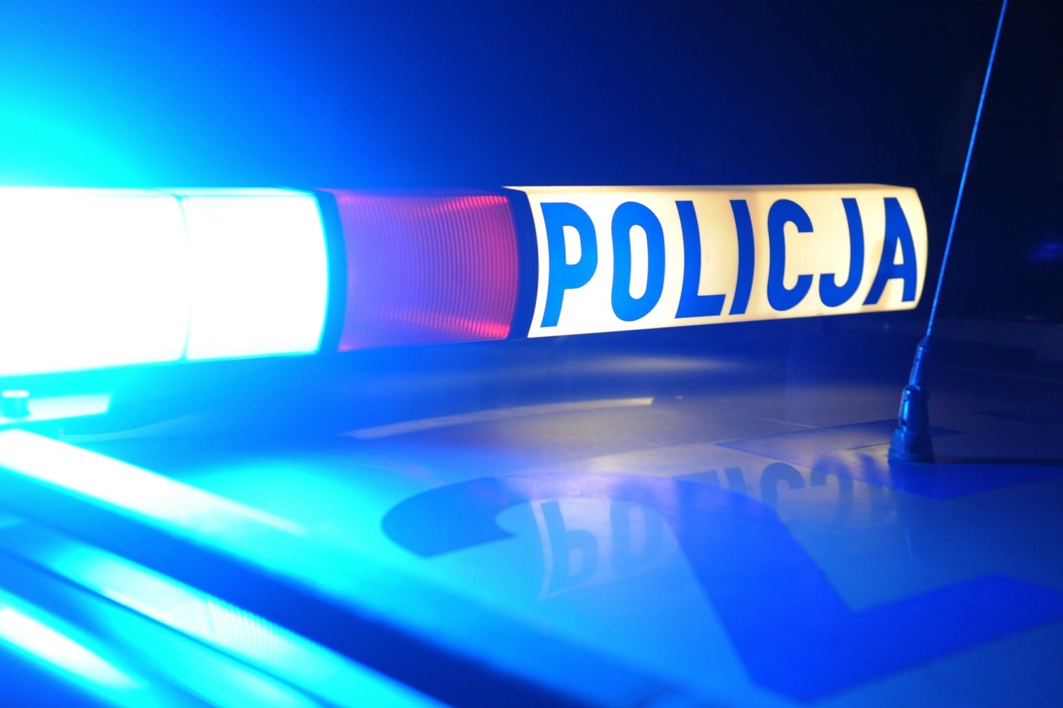 Zdjęcie jest ilustracją do treści.