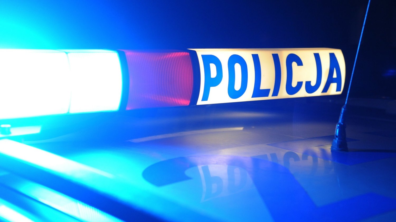 Zdjęcie jest ilustracją do treści.
