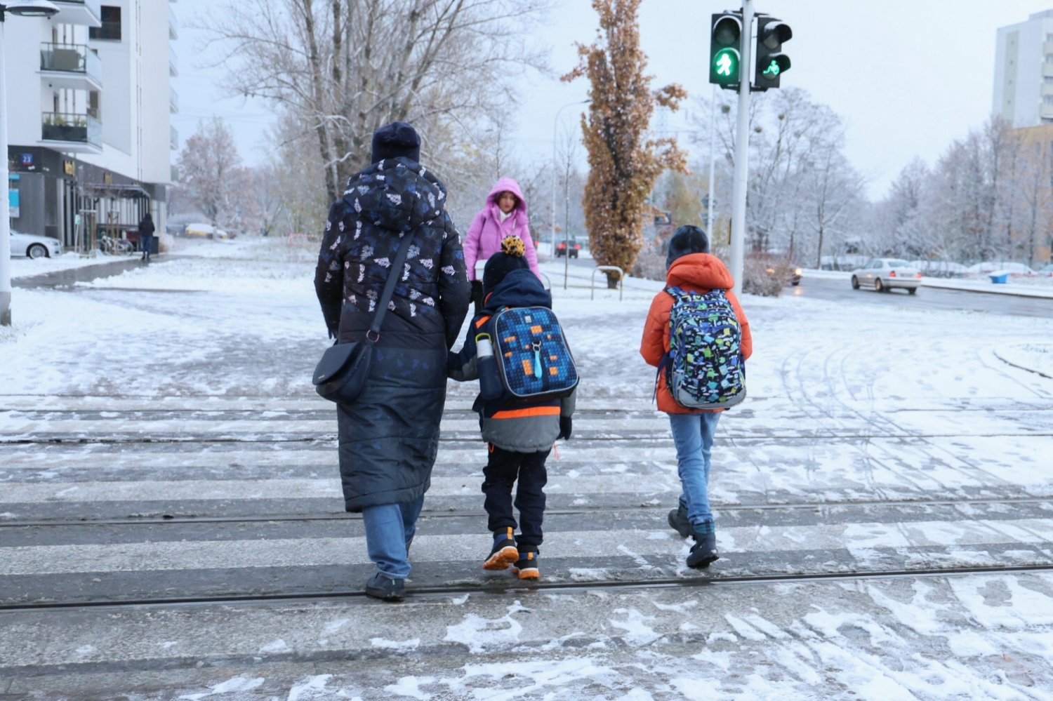 Wiadomo, kiedy pojawi się śnieg w Polsce.