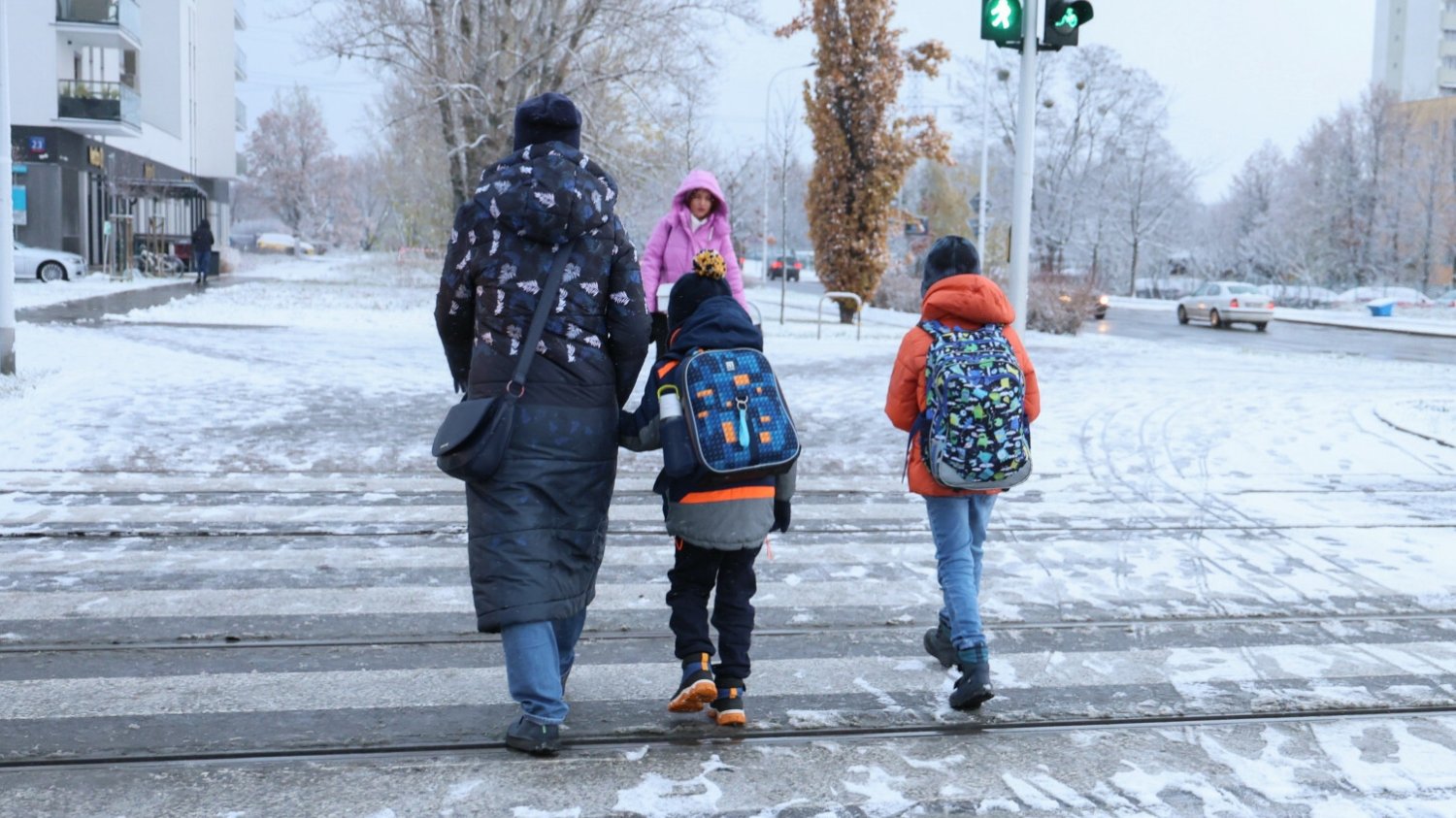 Wiadomo, kiedy pojawi się śnieg w Polsce.