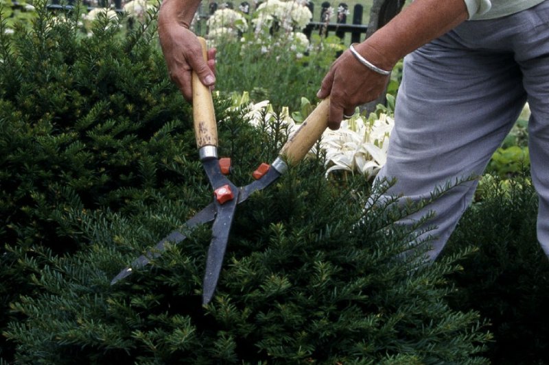 Atak sekatorem w Gdańsku. Motywm sprawcy była zazdrość