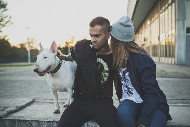 Lookbook The Hive (Jesien-Zima 2012)