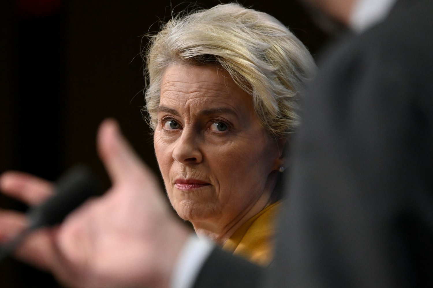 Ci dwaj europosłowie mieli wpłynąć na stanowisko von der Leyen.