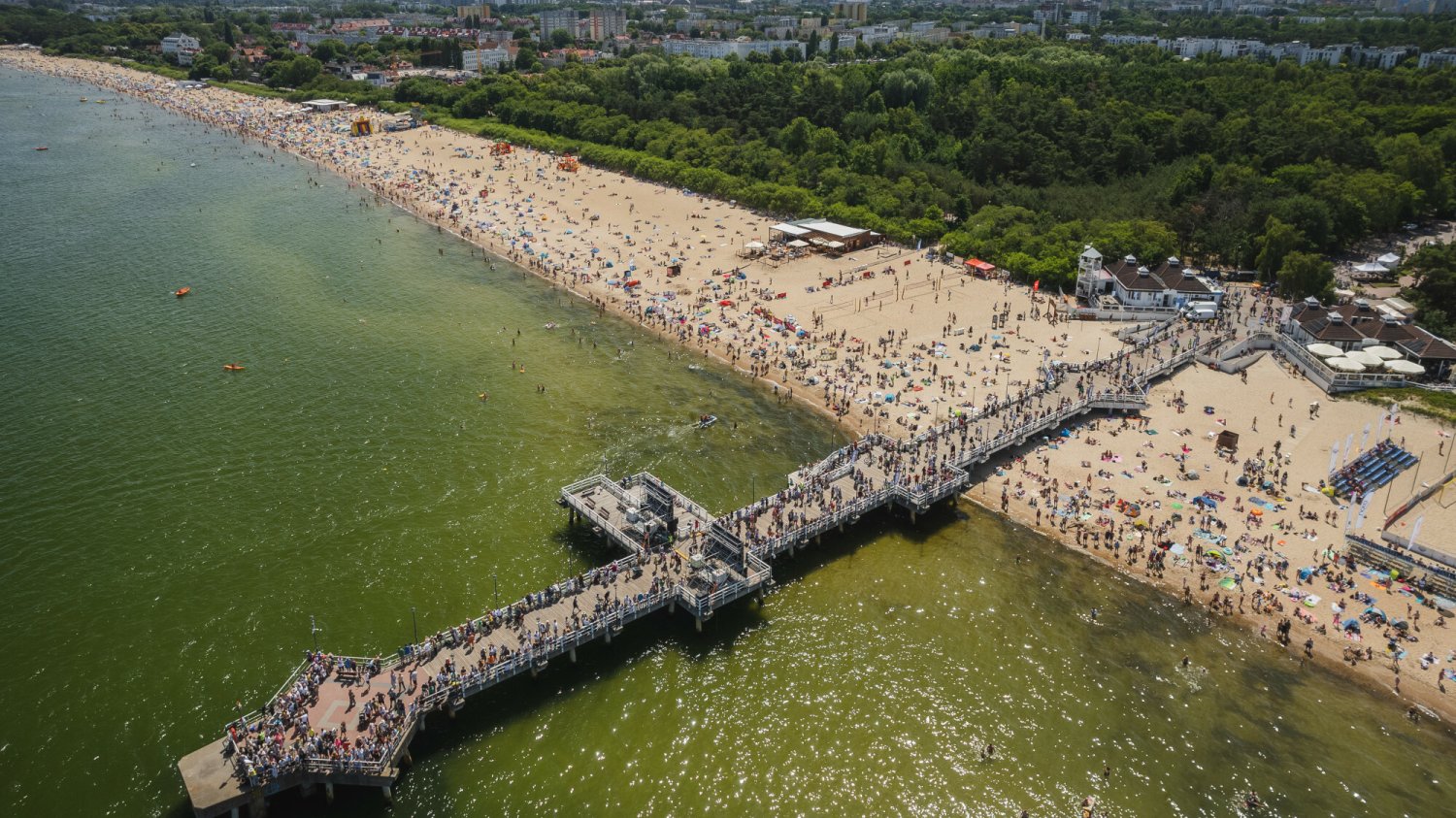 Gdzie są sinice? Do wody nie można wejść m.in. na kąpielisku w Gdańsku Brzeźnie. Sinice w Bałtyku.