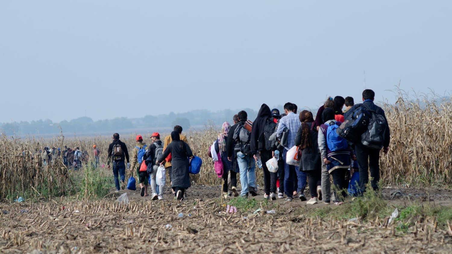 Grupa migrantów