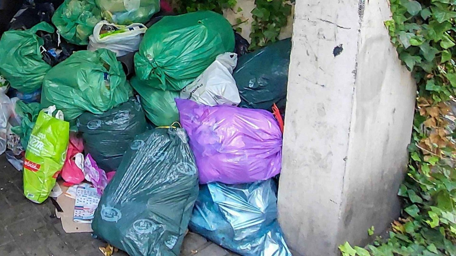 Polskie miasto wprowadza fioletowe worki na śmieci. Duże zmiany od października. Fioletowe worki na śmieci w Kielcach. Duże zmiany od 1 października.