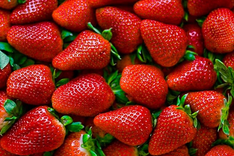 Importowane truskawki mają charakterystyczny połysk.