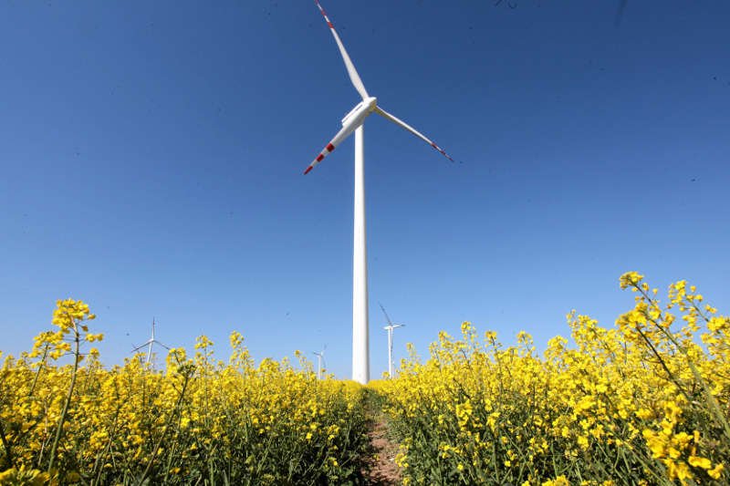 Rząd chce odciąć finansowanie energii odnawialnej kiedy tylko Polska 15 proc. polskiej energii będzie produkowanej w ekologiczny sposób