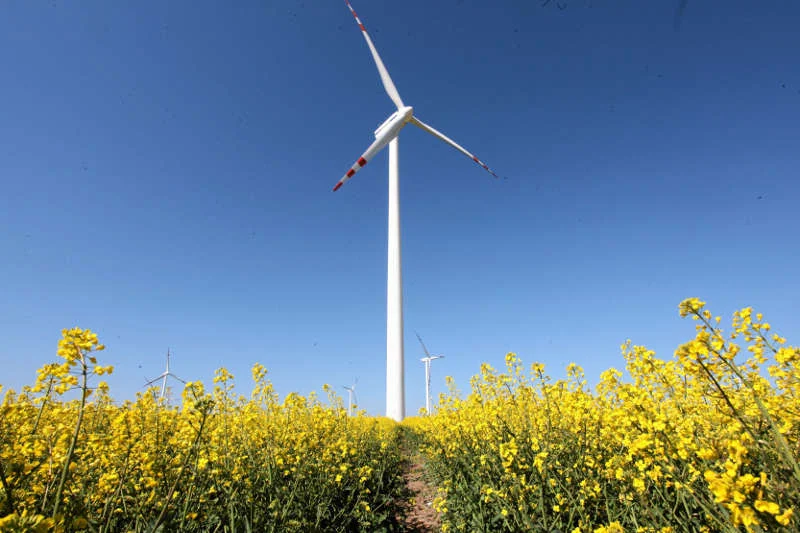Rząd chce odciąć finansowanie energii odnawialnej kiedy tylko Polska 15 proc. polskiej energii będzie produkowanej w ekologiczny sposób