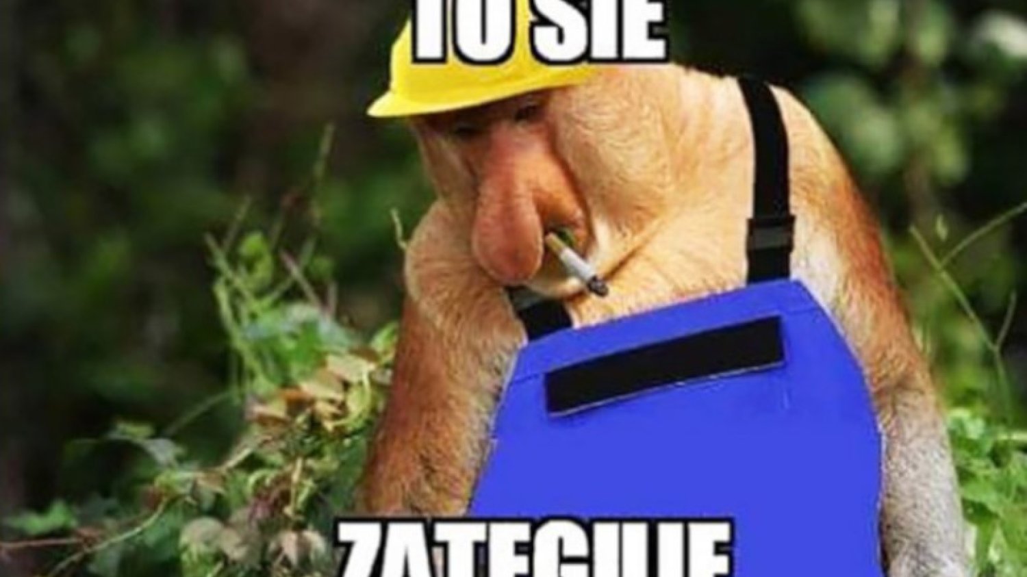 Nie ma nic bardziej uciążliwego, niż remonty