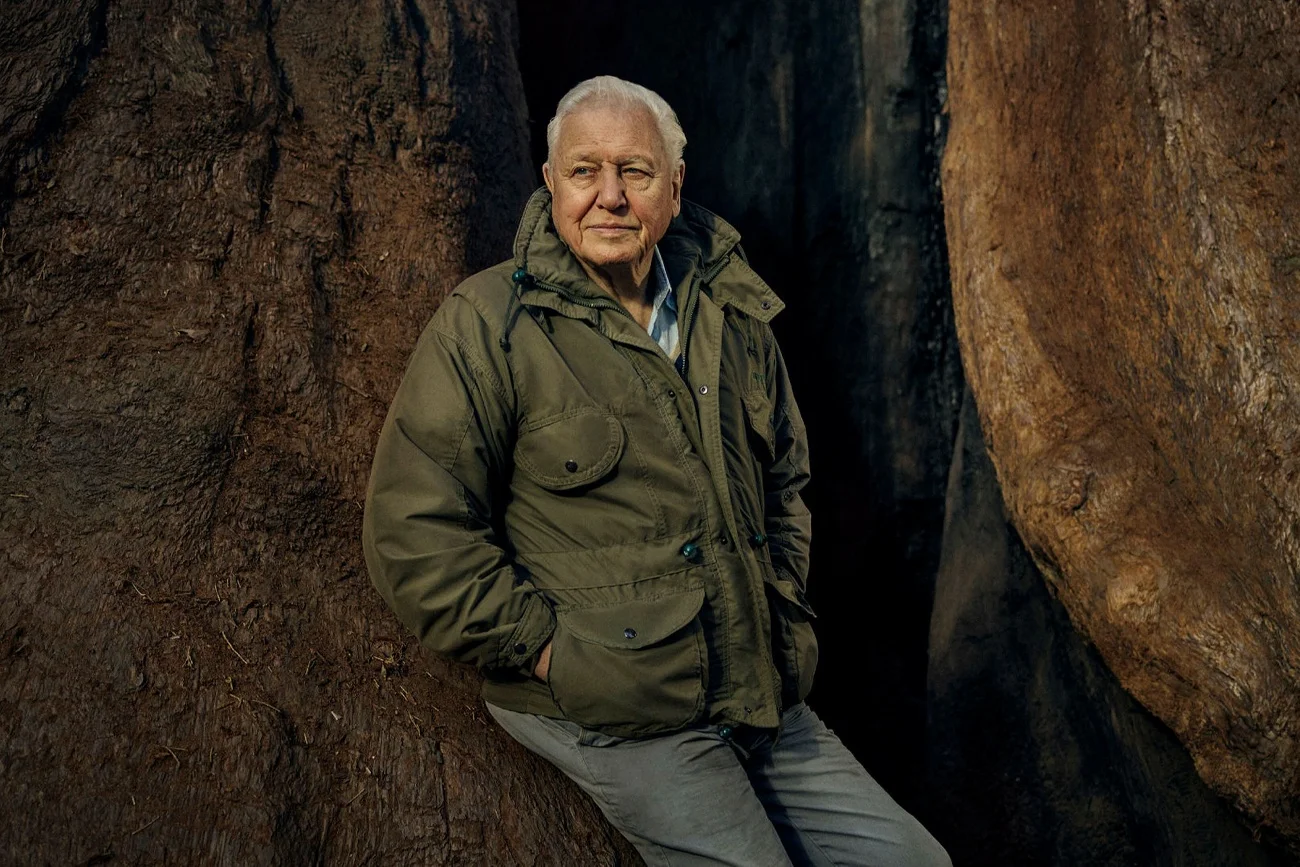 W roli narratora serii "Zielona planeta" wystąpi znany brytyjski biolog, popularyzator wiedzy przyrodniczej, pisarz i podróżnik – Sir David Attenborough