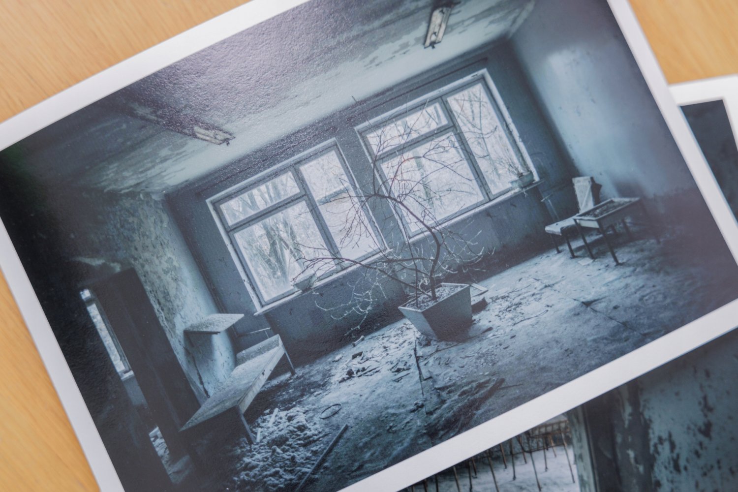 Redakcja naTemat gra razem z WOŚP. Zdjęcia z Czernobyla autorstwa laureata Grand Press Photo