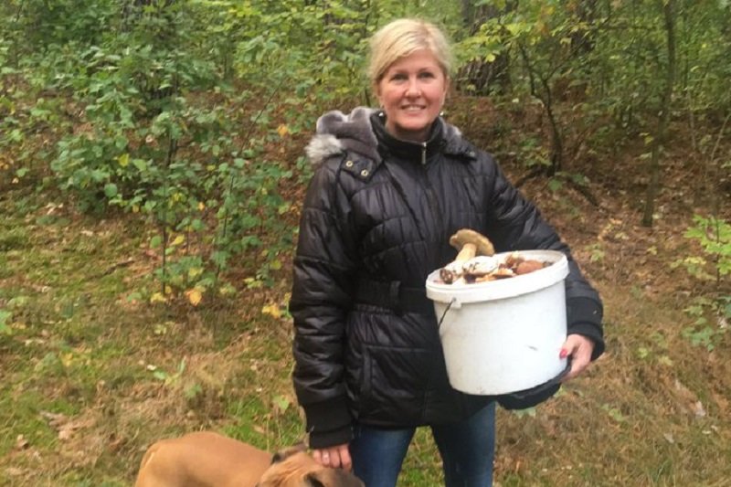 Posłanka PiS Iwona Arent pokazała grzyby zebrane w Polsce.