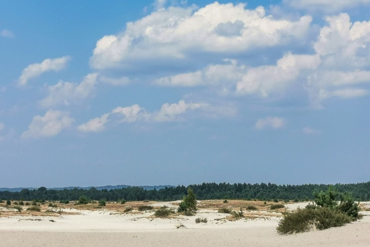 "Polska Sahara" to niezwykła atrakcja