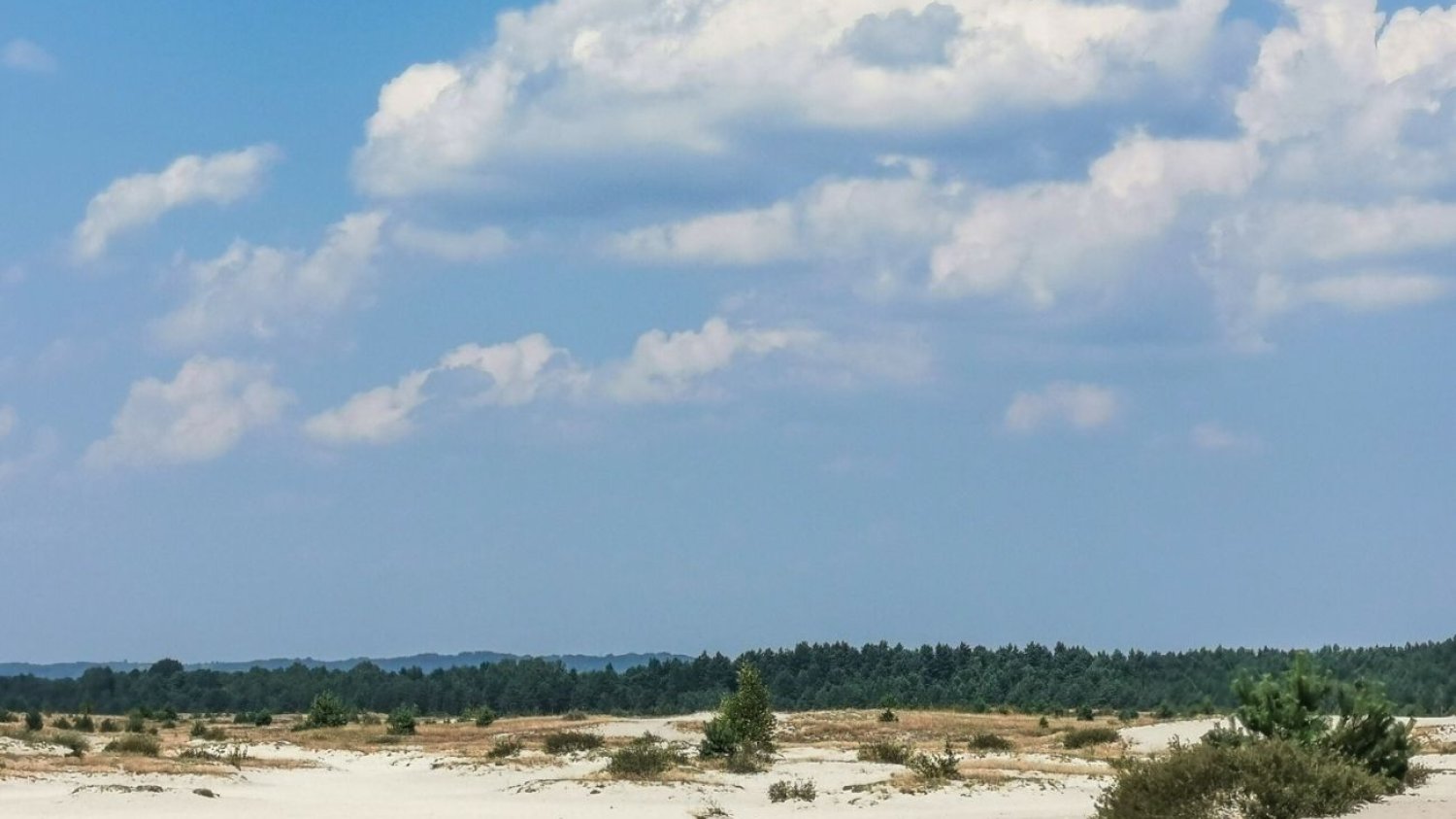 "Polska Sahara" to niezwykła atrakcja