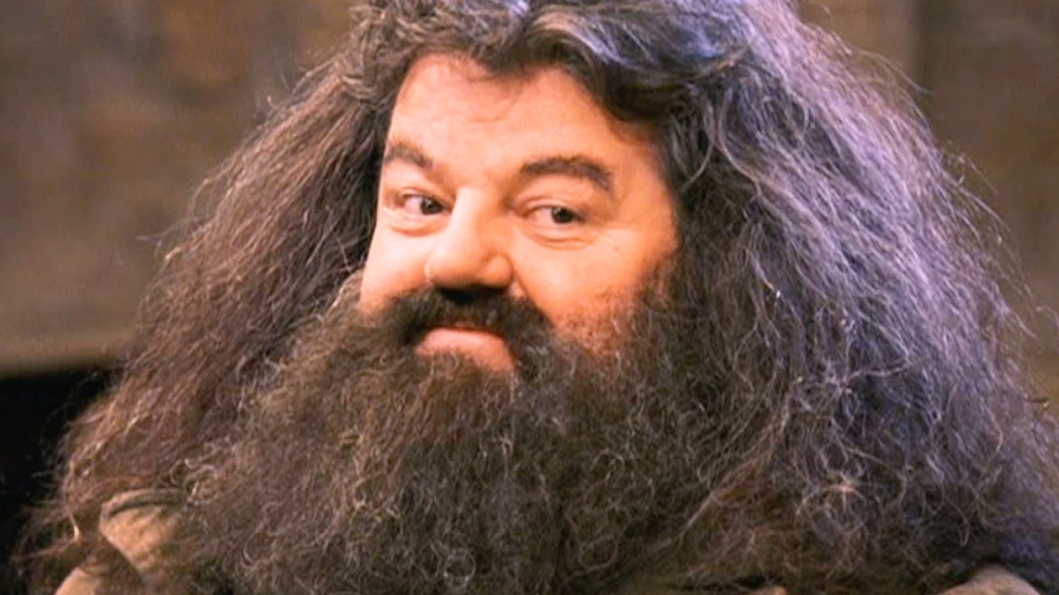 Cholibka, wygląda na to, że wybrano nowego Hagrida. To on ma zagrać w "Harrym Potterze" Wybrano Hagrida. W nowym serialu "Harry Potter" zagra go Nick Frost