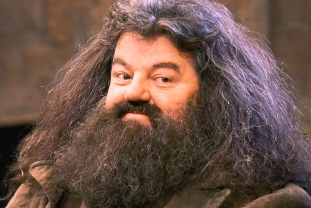 Cholibka, wygląda na to, że wybrano nowego Hagrida. To on ma zagrać w "Harrym Potterze" Wybrano Hagrida. W nowym serialu "Harry Potter" zagra go Nick Frost